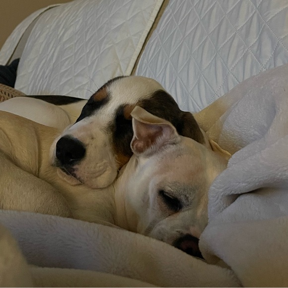 Meet your Posher, Lisa - Picture 6 of 8